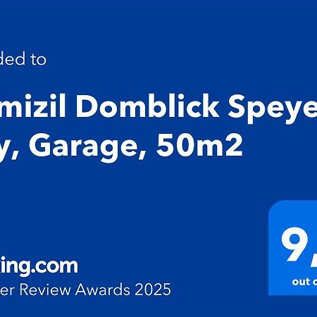 Domizil Domblick Speyer City, Garage, 50M2 Exteriér fotografie